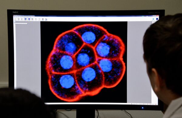 Лаборатория биомедицинских клеточных технологий Лаборатория биомедицинских клеточных технологий - Sputnik Таджикистан