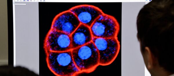 Лаборатория биомедицинских клеточных технологий во Владивостоке Лаборатория биомедицинских клеточных технологий во Владивостоке - Sputnik Таджикистан