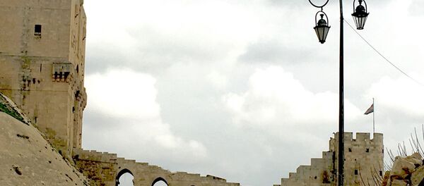 Сирийский город Алеппо. Архивное фото Сирийский город Алеппо. Архивное фото - Sputnik Таджикистан