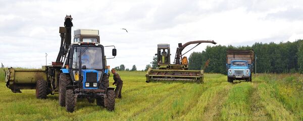 Уборка урожая, архивное фото - Sputnik Тоҷикистон