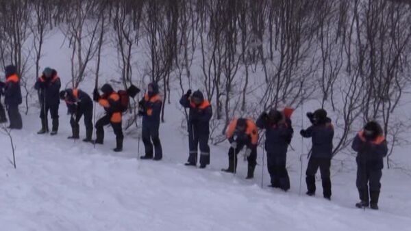 Спасатели щупами обследовали снег в поисках попавших под  лавину людей - Sputnik Таджикистан