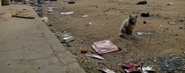 Алеппо. Акс аз бойгонӣ - Sputnik Тоҷикистон