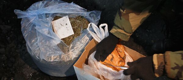 Уничтожение крупной партии наркотиков, архивное фото - Sputnik Тоҷикистон