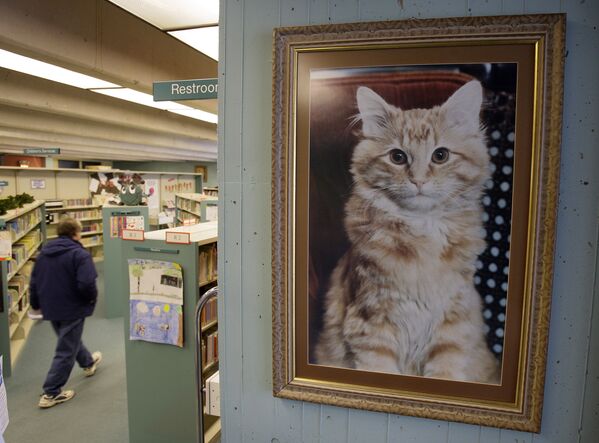 Портрет кота Дьюи в библиотеке города Спенсер (США). Архивное фото - Sputnik Таджикистан