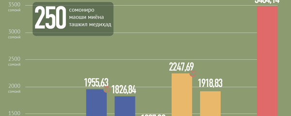 Тоҷикистониён дар куҷо кор мекунанд ва чӣ қадар маош мегиранд? - Sputnik Тоҷикистон