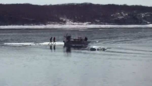Спасатели на катере забрали с дрейфующей льдины двух любительниц селфи - Sputnik Таджикистан