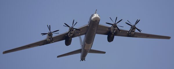 Тяжелый бомбардировщик-ракетоносец Ту-95МС. Архивное фото - Sputnik Таджикистан