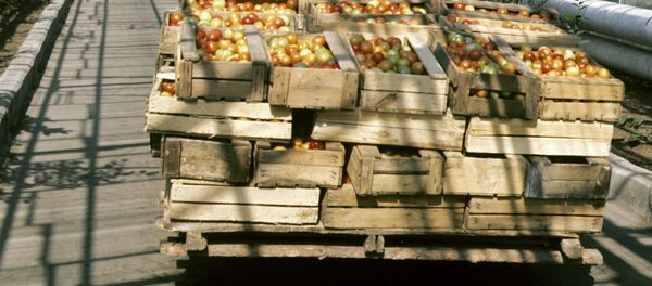 Овощи в коробках. Архивное фото Овощи в коробках. Архивное фото - Sputnik Таджикистан