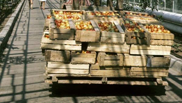 Овощи в коробках. Архивное фото - Sputnik Таджикистан