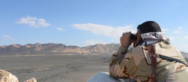 Сирийская армия и отряды ополчения на подступах к Пальмире, архивное фото Сирийская армия и отряды ополчения на подступах к Пальмире, архивное фото - Sputnik Таджикистан