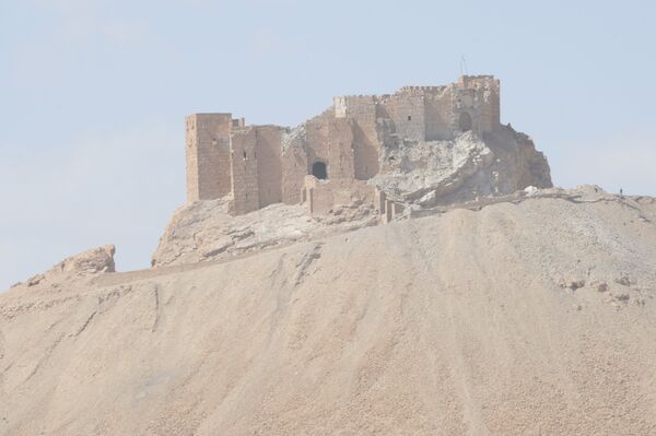 Вид на исторический замок на вышине холма. Замок Пальмиры был одной из важнейших стратегических высот в ходе освобождения города. - Sputnik Таджикистан