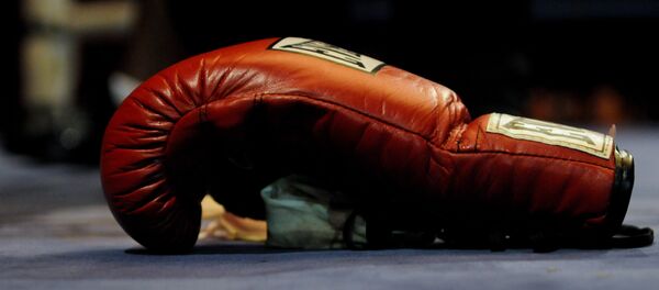 Боксерская перчатка - Sputnik Таджикистан