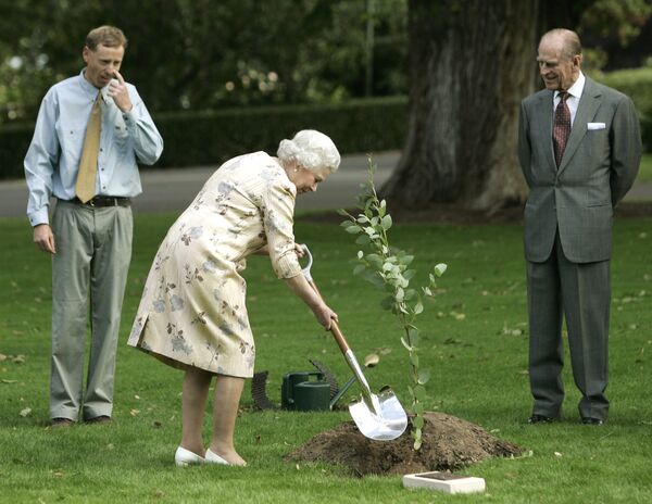 Елизавета II собственноручно сажает дерево в австралийской Канберре в 2006 году - Sputnik Таджикистан