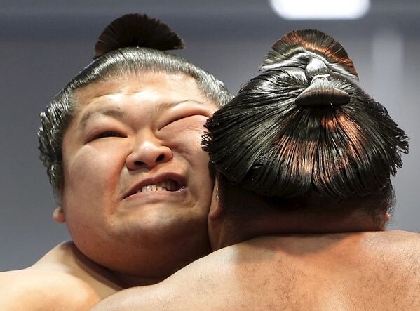Борцы сумо на турнире в Токио - Sputnik Таджикистан