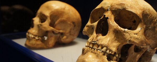 Черепа. Архивное фото Черепа. Архивное фото - Sputnik Таджикистан