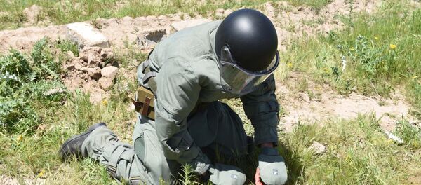 Саперы 201-й российской военной базы зачистили полигон Ляур - Sputnik Таджикистан