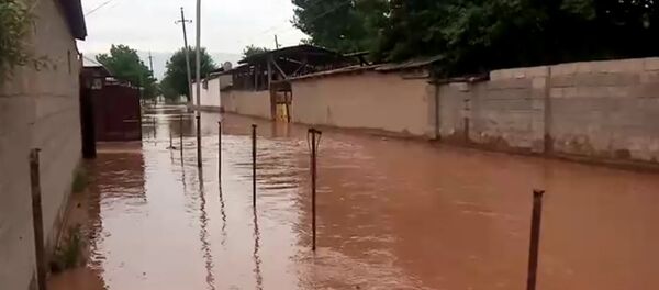 Близ Душанбе сель смывает улицы и топит дома - Sputnik Тоҷикистон