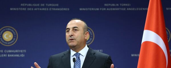 Мевлют Чавушоглу. Архивное фото Мевлют Чавушоглу. Архивное фото - Sputnik Таджикистан