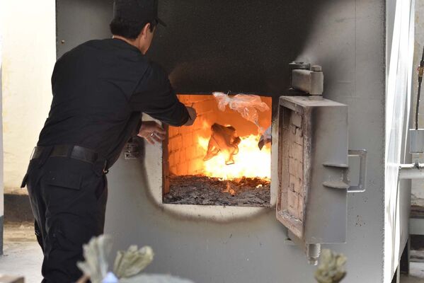 В печи АКН РТ сожгли свыше 370 килограмм наркотиков - Sputnik Таджикистан