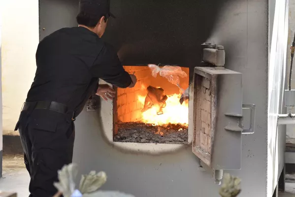Аз ҷониби Агентии назорати маводи нашъаовар зиёда аз 370 кг маводи мухаддир сӯзонида шуд Аз ҷониби Агентии назорати маводи нашъаовар зиёда аз 370 кг маводи мухаддир сӯзонида шуд - Sputnik Тоҷикистон