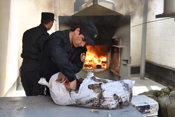 В печи АКН РТ сожгли свыше 370 килограмм наркотиков - Sputnik Таджикистан