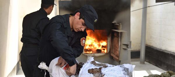 В печи АКН РТ сожгли свыше 370 килограмм наркотиков В печи АКН РТ сожгли свыше 370 килограмм наркотиков - Sputnik Таджикистан