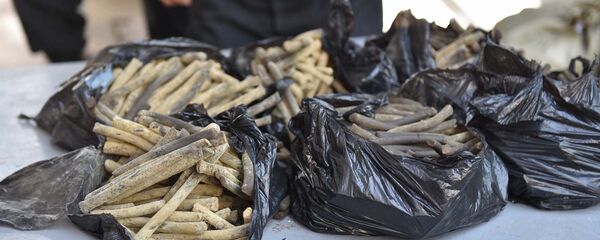 Дар танури КДАМ 370 килограмм маводи мухаддир сӯзонида шуд Дар танури КДАМ 370 килограмм маводи мухаддир сӯзонида шуд - Sputnik Тоҷикистон