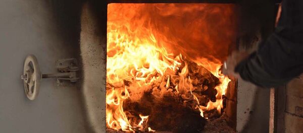 Сӯзонидани маводи мухаддир. Акс аз бойгонӣ - Sputnik Тоҷикистон