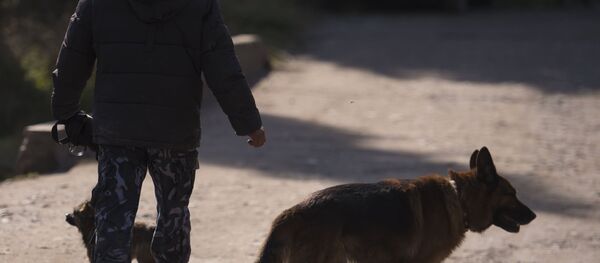 Сотрудник правоохранительных органов в Бишкеке (Кыргызстан). Архивное фото Сотрудник правоохранительных органов в Бишкеке (Кыргызстан). Архивное фото - Sputnik Таджикистан