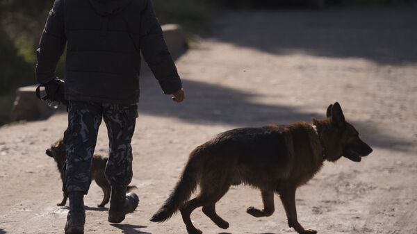 Кормандони полис, акс аз бойгонӣ - Sputnik Тоҷикистон