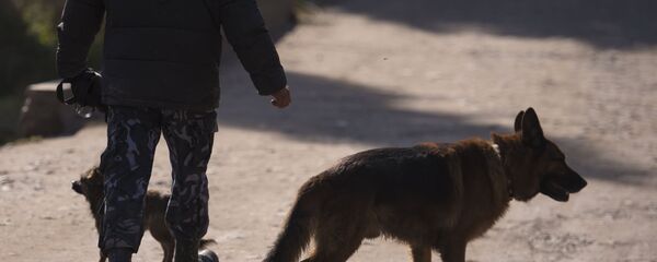 Сотрудник правоохранительных органов в Бишкеке (Кыргызстан). Архивное фото - Sputnik Таджикистан