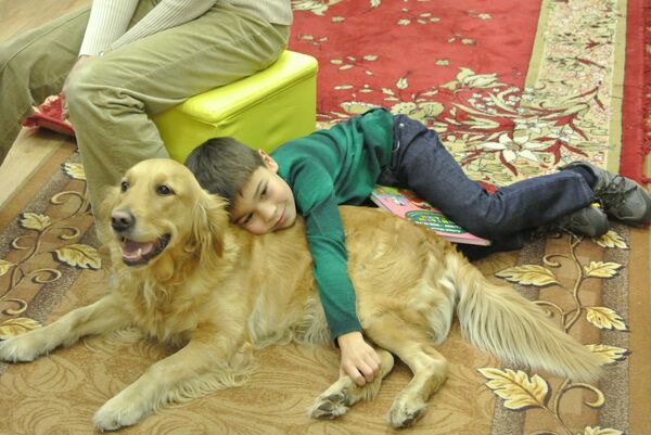 Собака – «харам»? Почему в Таджикистане не любят животных | Новости Таджикистана ASIA-Plus