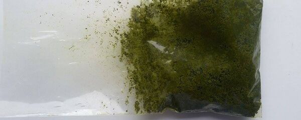 Насвай. Архивное фото - Sputnik Тоҷикистон