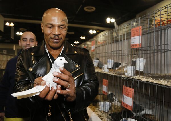 Боксер Майк Тайсон. Архивное фото - Sputnik Тоҷикистон