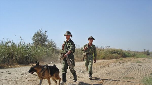 Таджикские пограничники на таджикско-афганской границе. Архивное фото - Sputnik Таджикистан