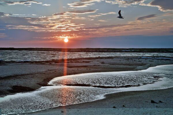 Какой сегодня праздник в Таджикистане и мире: 8 марта Какой сегодня праздник в Таджикистане и мире: 8 марта - Sputnik Таджикистан