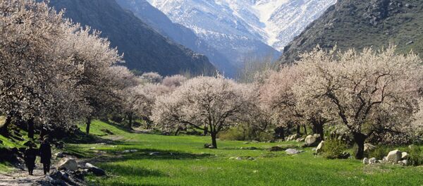 Таджикистан: солнечный и гостеприимный край - Sputnik Таджикистан