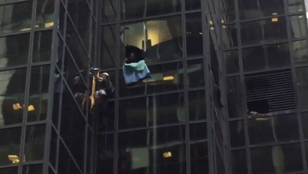 Мужчина на присосках взобрался по стене небоскреба Trump tower в Нью-Йорке - Sputnik Таджикистан