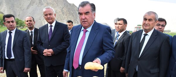 Эмомали Рахмон в Согдийской области на сборе картофеля Эмомали Рахмон в Согдийской области на сборе картофеля - Sputnik Таджикистан