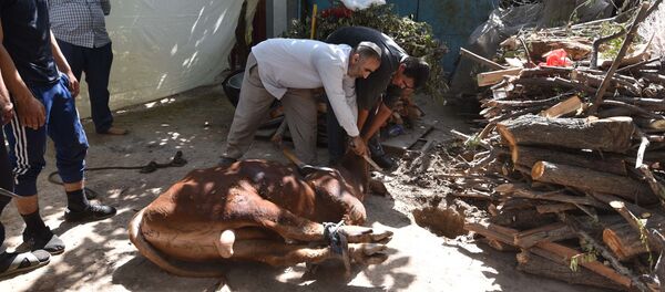 Празднование Иди Курбон в Душанбе Празднование Иди Курбон в Душанбе - Sputnik Тоҷикистон