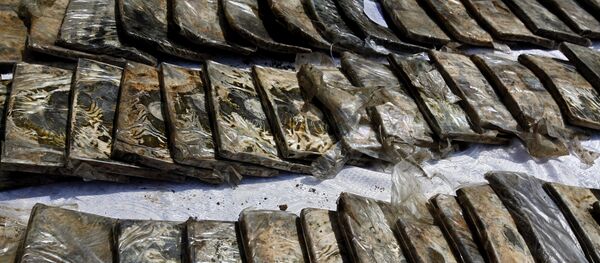 Архивное фото изъятых наркотиков Архивное фото изъятых наркотиков - Sputnik Таджикистан