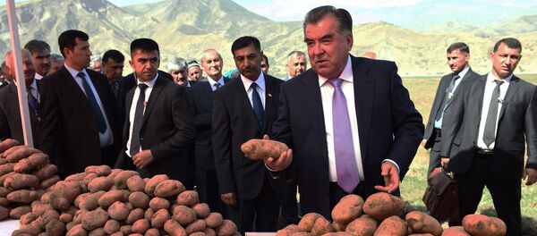 Эмомали Раҳмон дар намоишгоҳи кишоварзӣ дар ноҳияи  Нуробод. Акс аз бойгонӣ - Sputnik Тоҷикистон