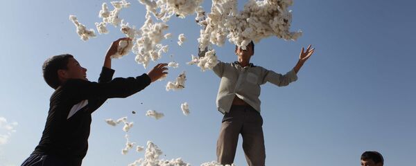 Ҷамъоварии пахта. Акс аз бойгонӣ - Sputnik Тоҷикистон