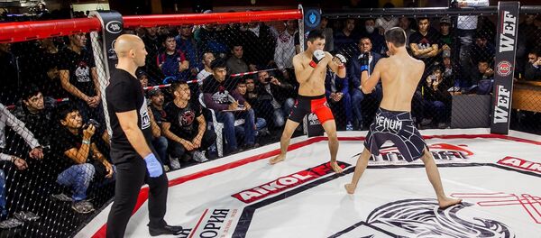 Турнир WEF selection 5 Турнир WEF selection 5 - Sputnik Таджикистан