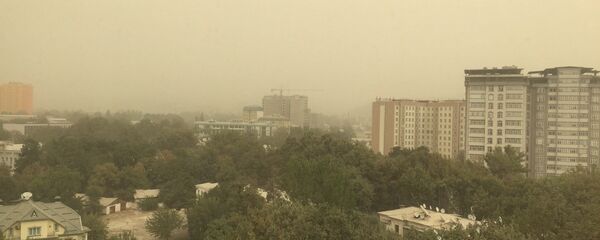 Ҳавои ғуборолуди Душанбе. Акс аз бойгонӣ - Sputnik Тоҷикистон