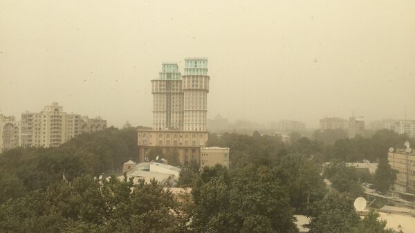 Песчаная буря в Душанбе, архивное фото - Sputnik Таджикистан