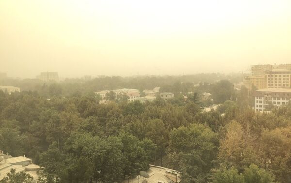 Песчаная буря в Душанбе - Sputnik Таджикистан