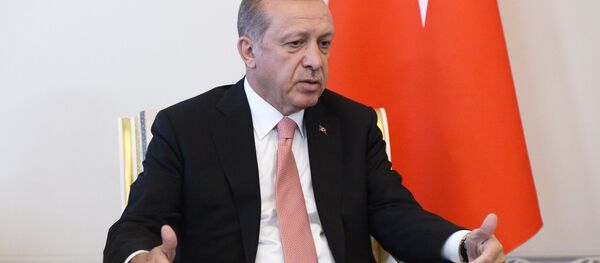 Президенти Туркия Раыаб Тайиб Эрдуғон. Акс аз бойгонӣ Президенти Туркия Раыаб Тайиб Эрдуғон. Акс аз бойгонӣ - Sputnik Тоҷикистон