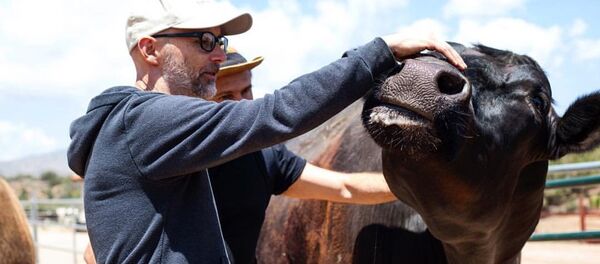 Всемирный день защиты животных Всемирный день защиты животных - Sputnik Таджикистан