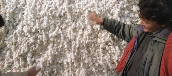 Уборка хлопка, архивное фото - Sputnik Таджикистан